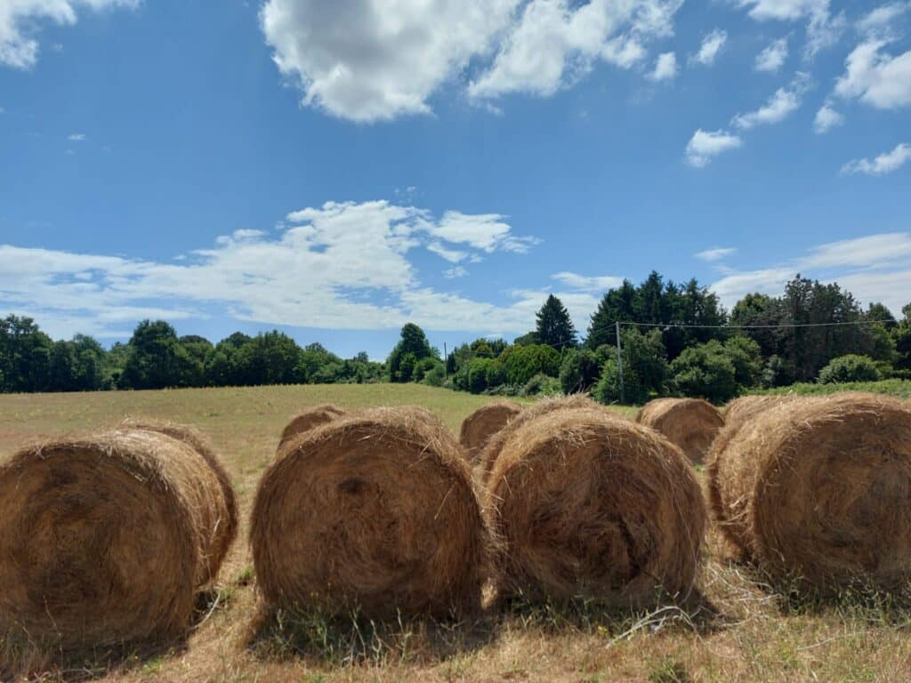 Aumentano i costi correnti di produzione del cibo, crolla la fiducia degli operatori