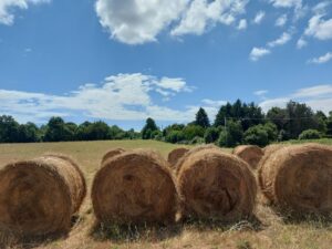 Aumentano i costi correnti di produzione del cibo, crolla la fiducia degli operatori