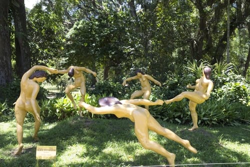 ACCADDE DOMANI - Henri Matisse