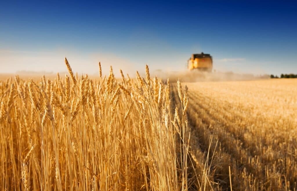 Guerra in Ucraina. Spesi 90 miliardi di dollari per il grano