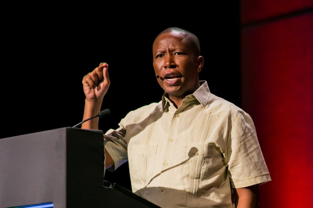 Economic Freedom Fighters: terra e lavoro subito!
