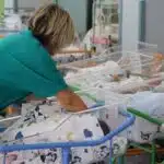 Bonus nuovi nati ai secondogeniti nati nel  2026