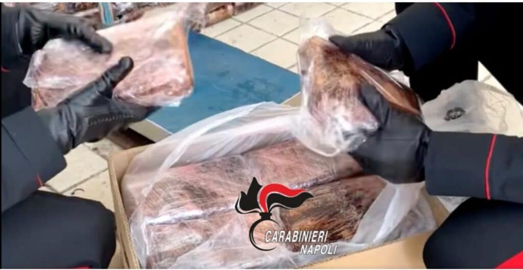 Frattamaggiore: sequestrati 500 chili di droga, avrebbero fruttato 50 milioni