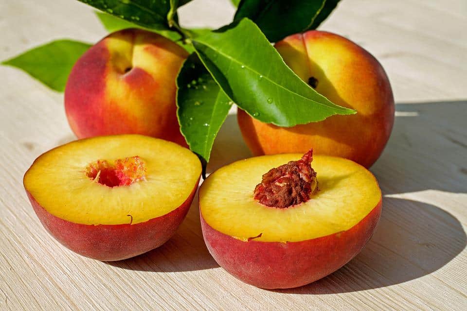Frutta estiva in Europa, le aspettative per il made in Italy agroalimentare