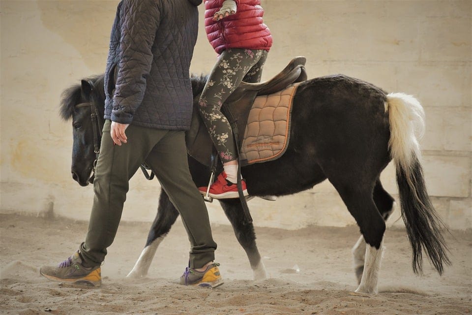 Giornata mondiale autismo – Fieracavalli lancia “un cavallo per amico”