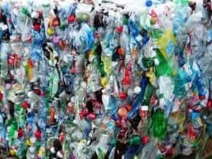 Il riciclo delle bioplastiche raggiunge il 61% degli italiani