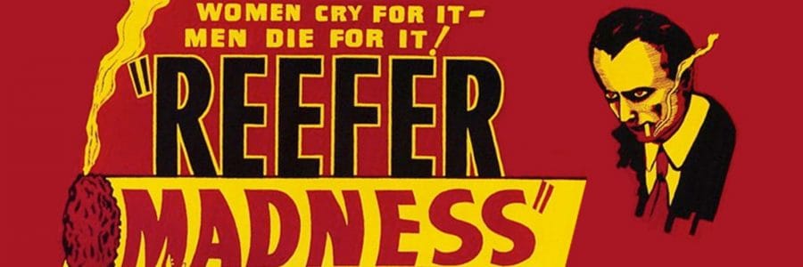 Cannabis, Covid e nuove speranze per il 2022