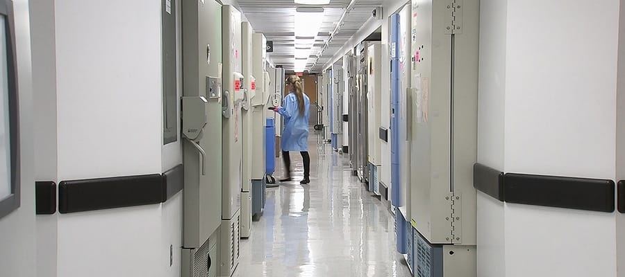 Sanità: aspettativa di vita globale tornata a livelli pre-Covid nel 2023