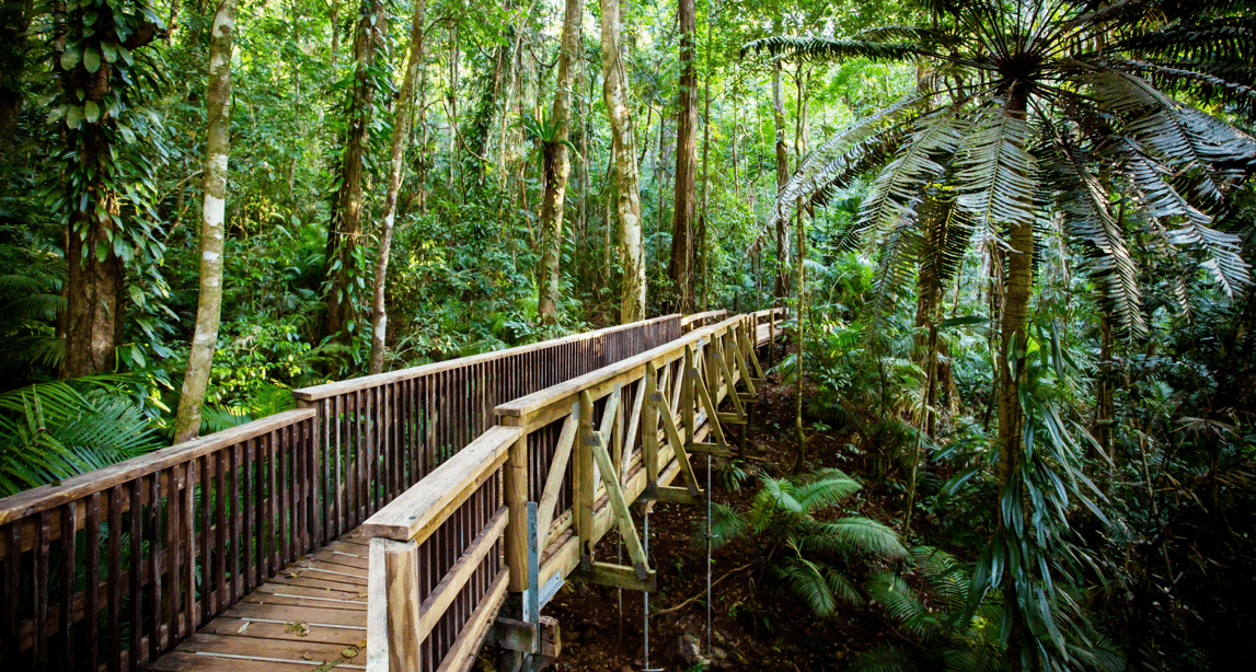 Dove le notifiche non ti trovano: le mete “irraggiungibili” più amate
