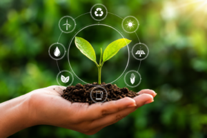 Mani che sorreggono una giovane pianta verde con simboli digitali della sostenibilità e dell’economia circolare sullo sfondo naturale.
