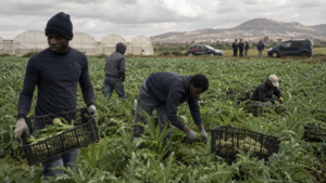 Lavoratori nei campi di verdura