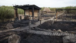 Area archeologica danneggiata da incendi